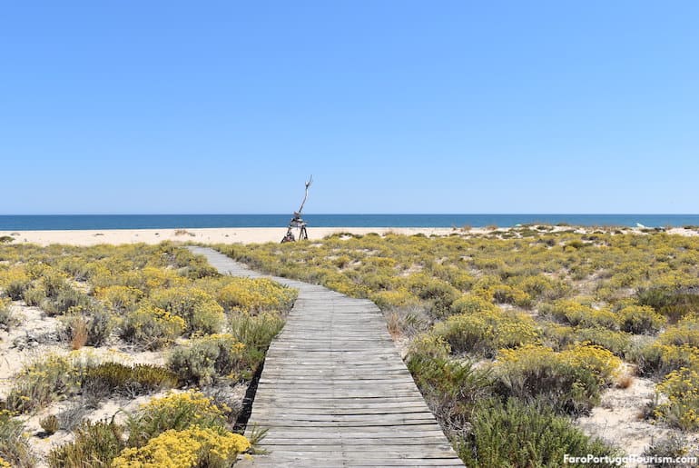 Ilha Deserta, Faro, Algarve, Portugal